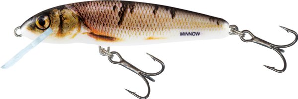 Salmo Minnow 5cm Floating Farbe: Wounded Dace
